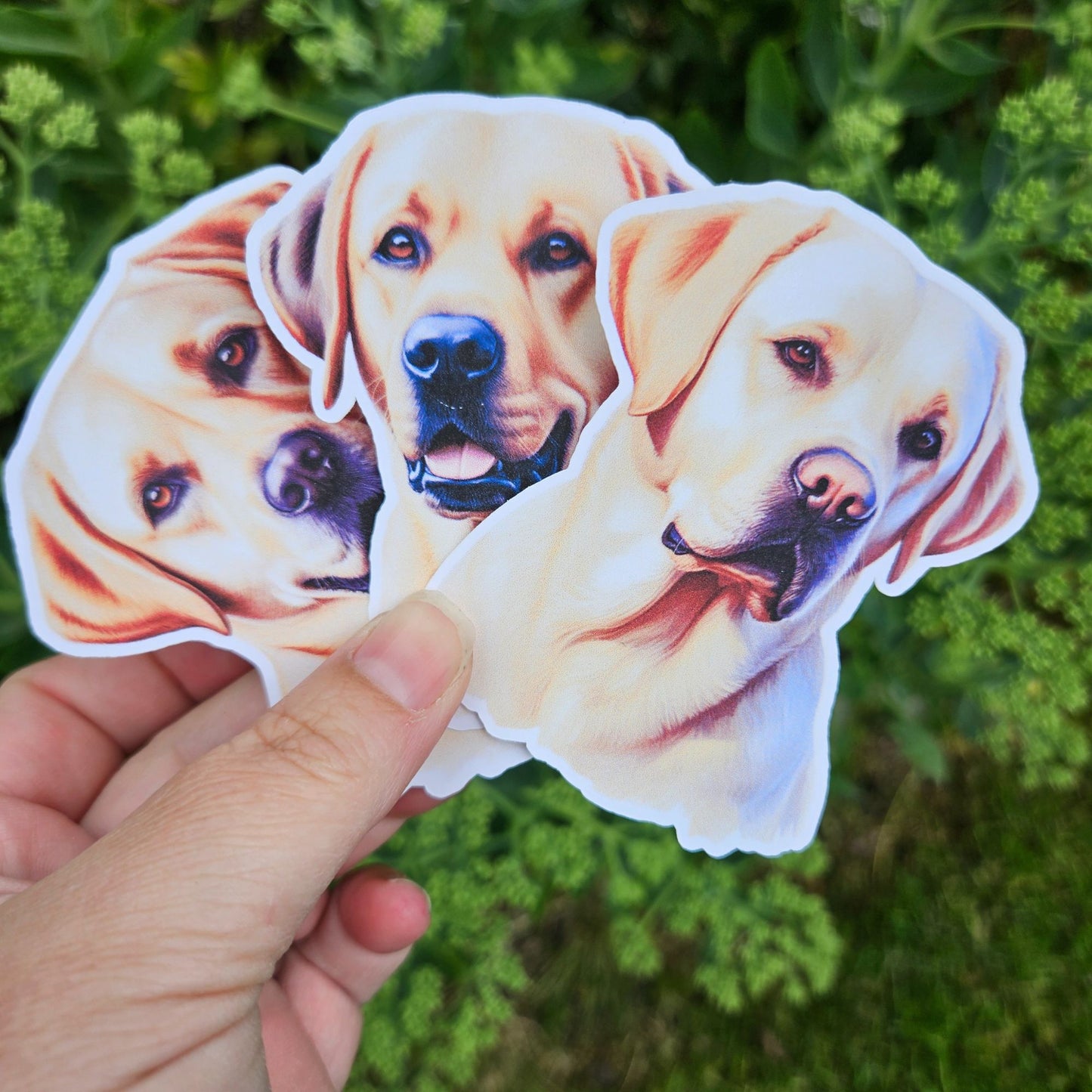 Labrador Retriever Sticker Pack